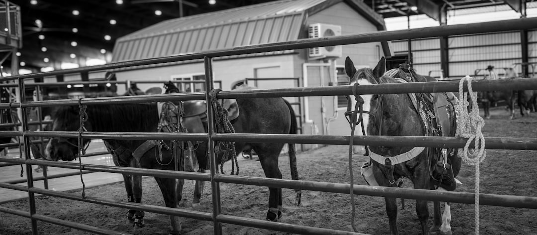 Horse D20 Methanol Range Extender: RED III Compliance Pathway for 2030
